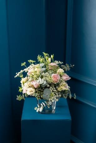 img44 Dream Land - Image 1