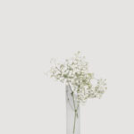 Local Baby’s breath