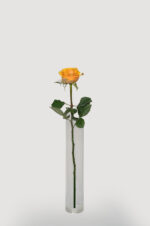 Local Roses - Image 3