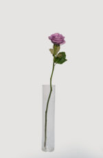 Imported Roses - Image 2